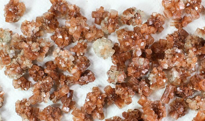 Lot: Small Twinned Aragonite Crystals - Pieces #78107